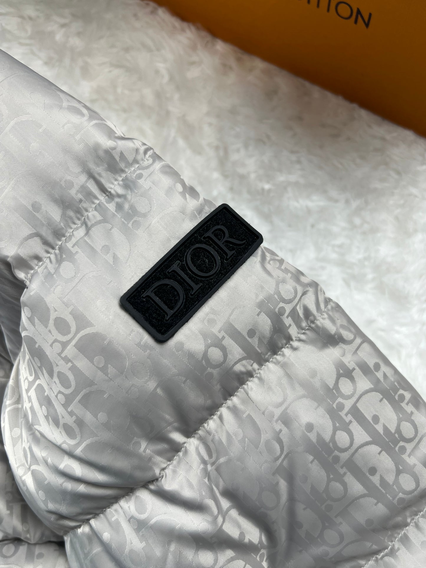 Dior Silver Oblique coat